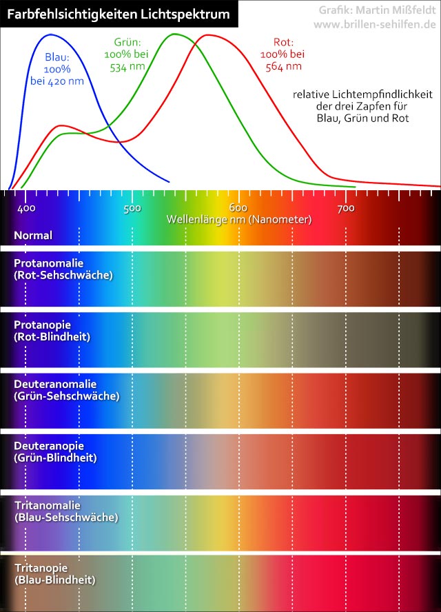 Farbfehlsichtigkeiten: sichtbares Lichtspektrum jeweils verschieden