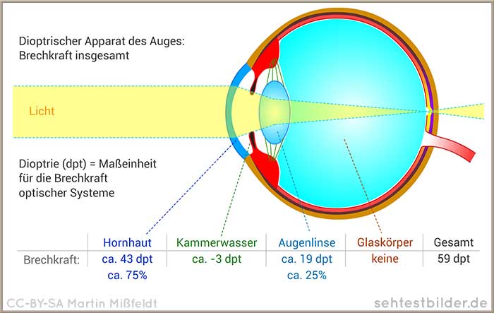 Dioptrischer Apparat des Auges
