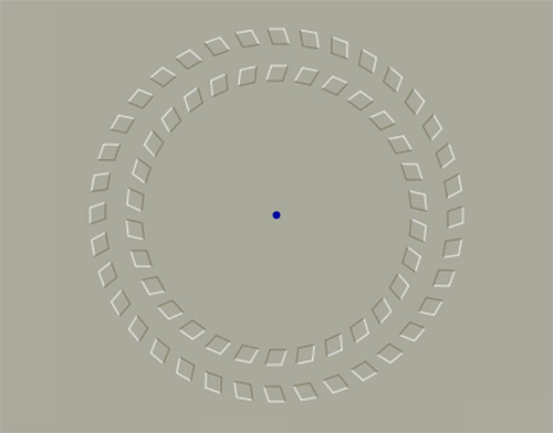 Illusion sich drehender Kreise durch Kopfbewegung