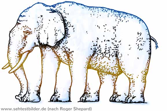 Elefant mit fünf Beinen