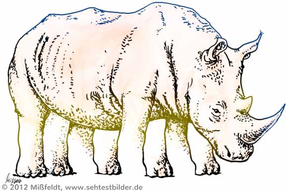 Nashorn mit vielen Beinen