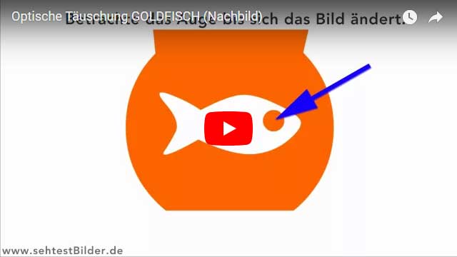 Optische Tauschungen Und Illusionen Sehtestbilder